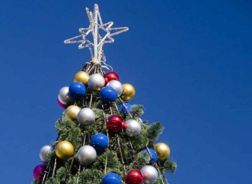 Главная елка Ялты откроется  в День Святого Николая
