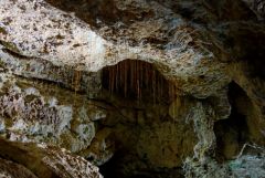 Уникальные находки пещеры &quot;Таврида&quot; готовы к показу