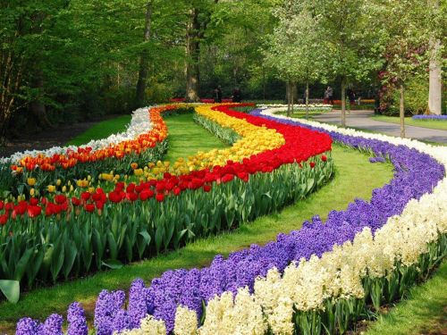 Никитский ботанический сад станет бесплатным для Валентинов