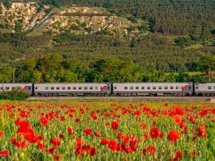 Крым будет принимать 17 поездов «Таврия»